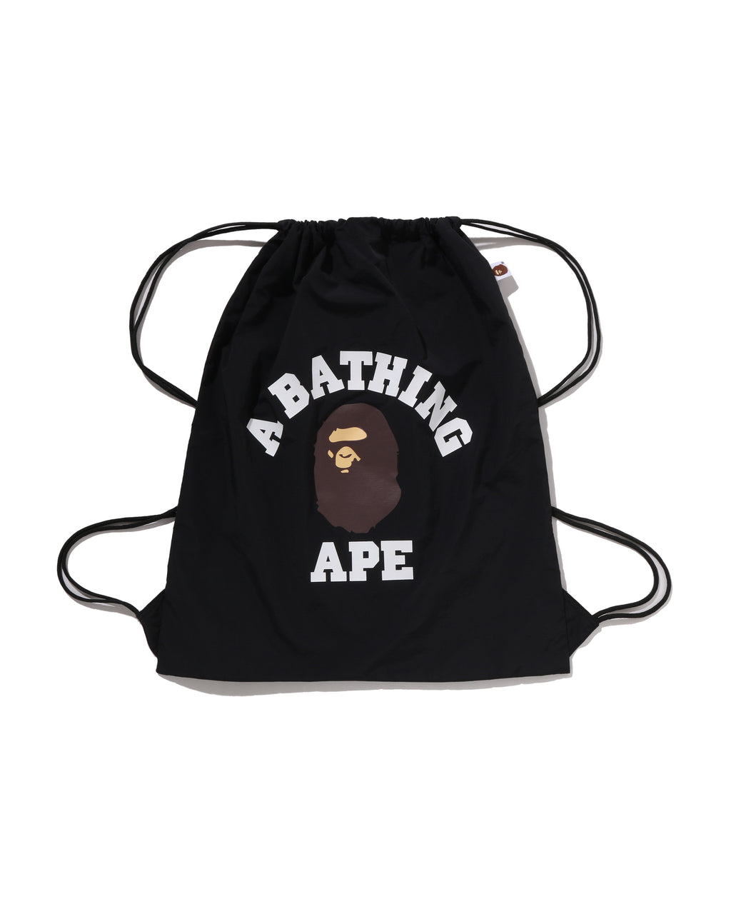 College Knapsack