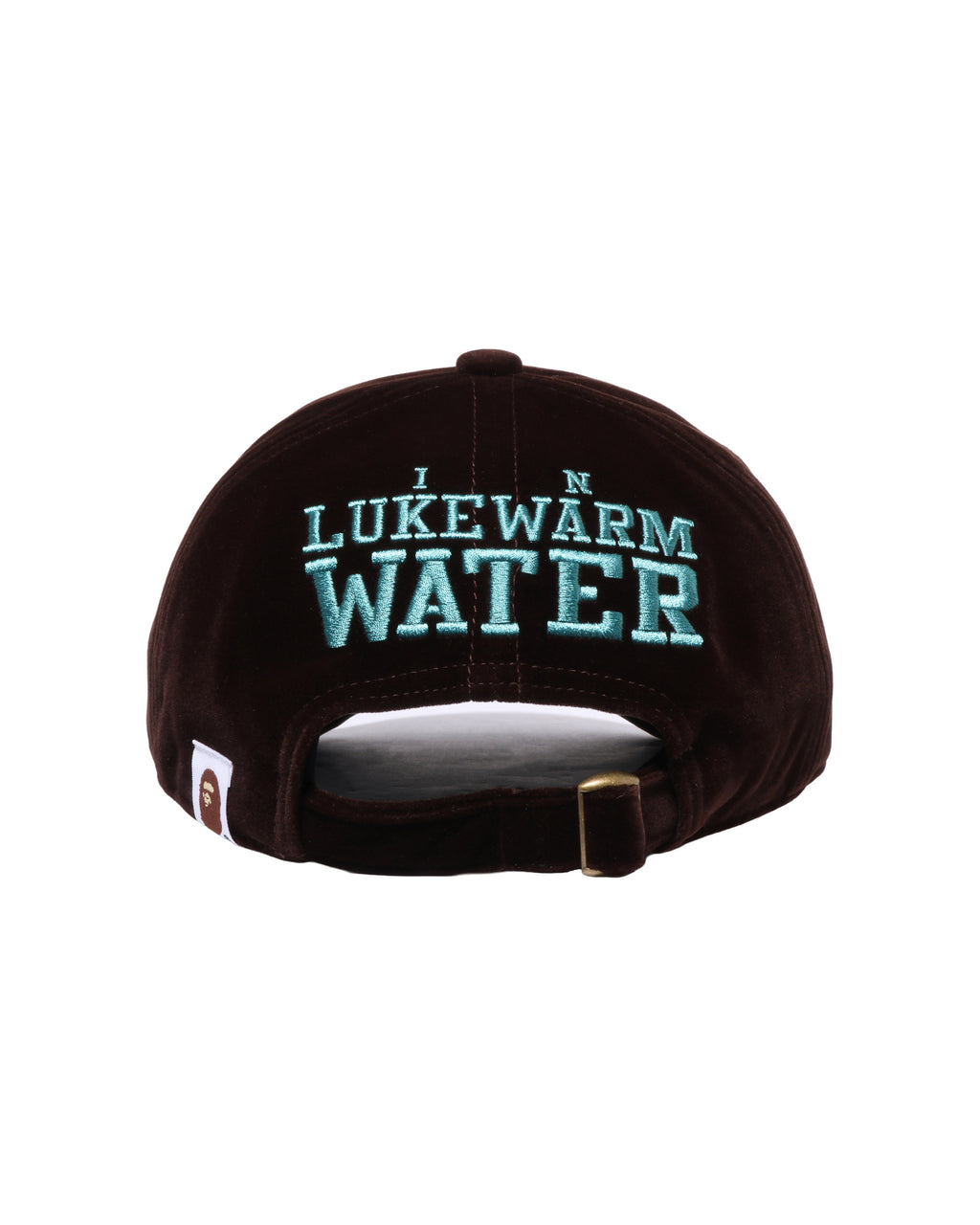 Logo Panel Cap