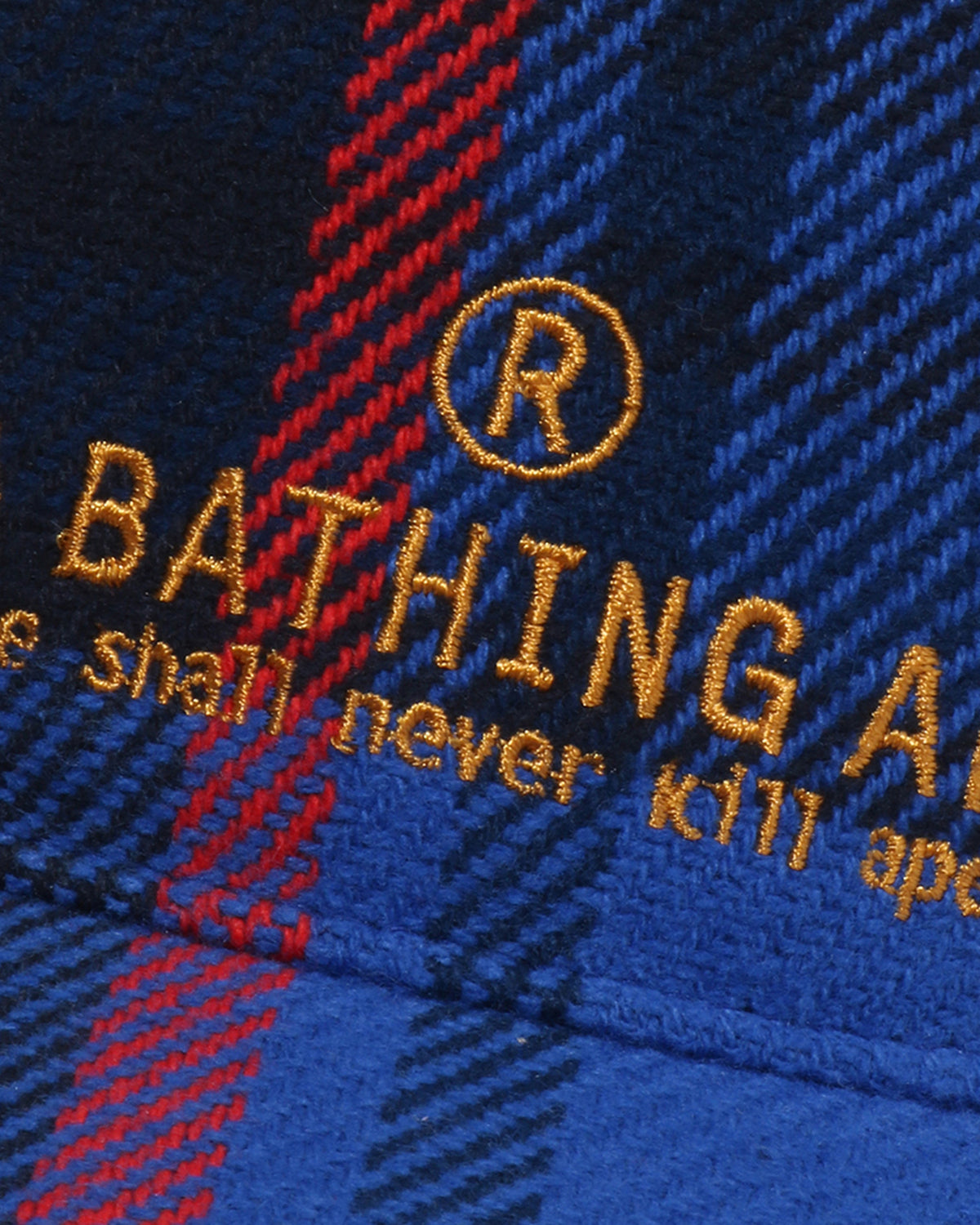 BAPE Check Jet Cap