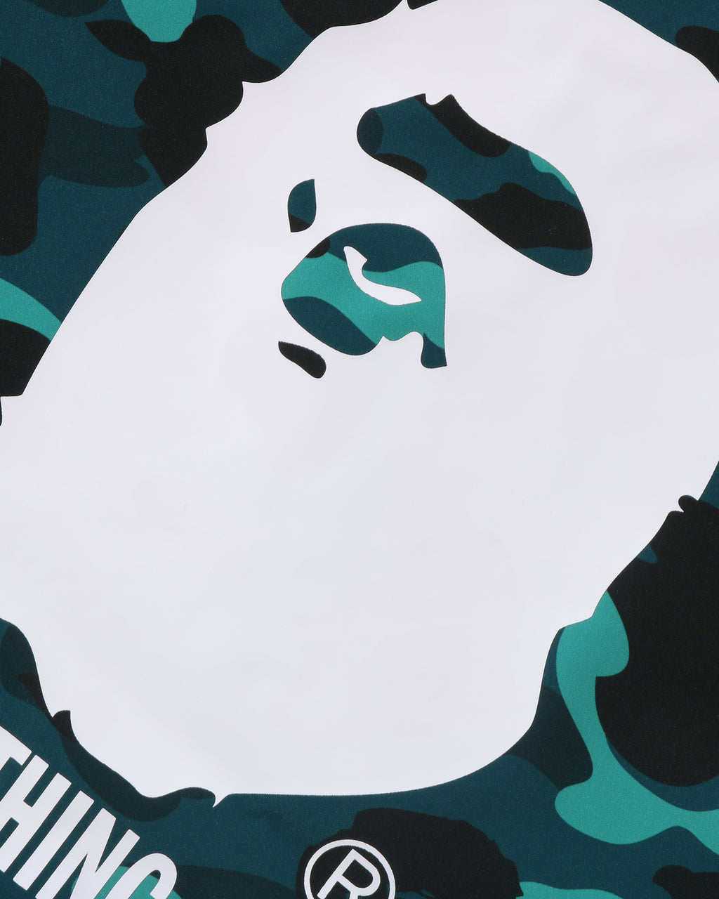 Color Camo Coach Jacket