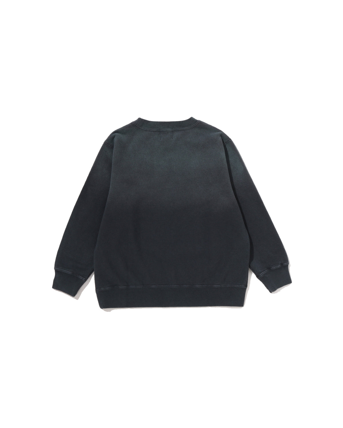 Kids Milo Shark Fzh Vintage Effect Crewneck Sweatshirt