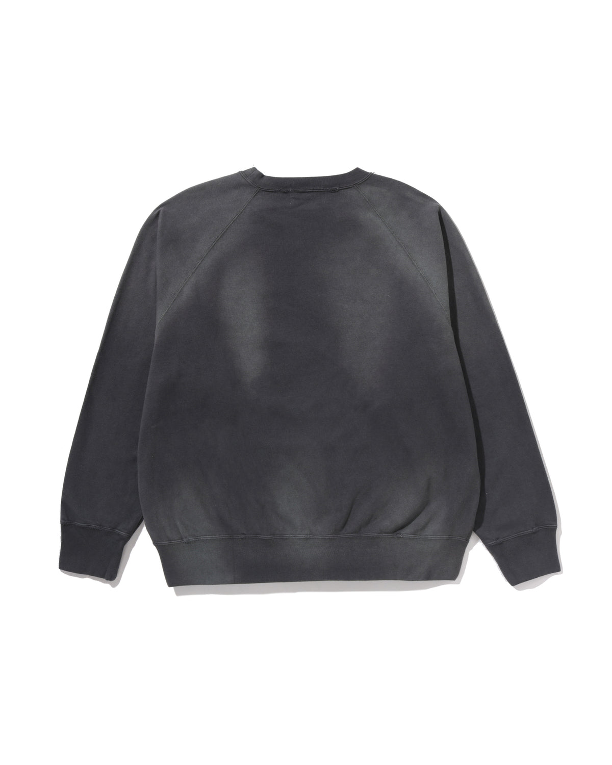 Destroy Washed Effect Relaxed Fit Crewneck Sweatshirt