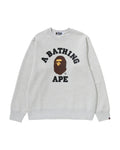 College Crewneck Sweatshirt