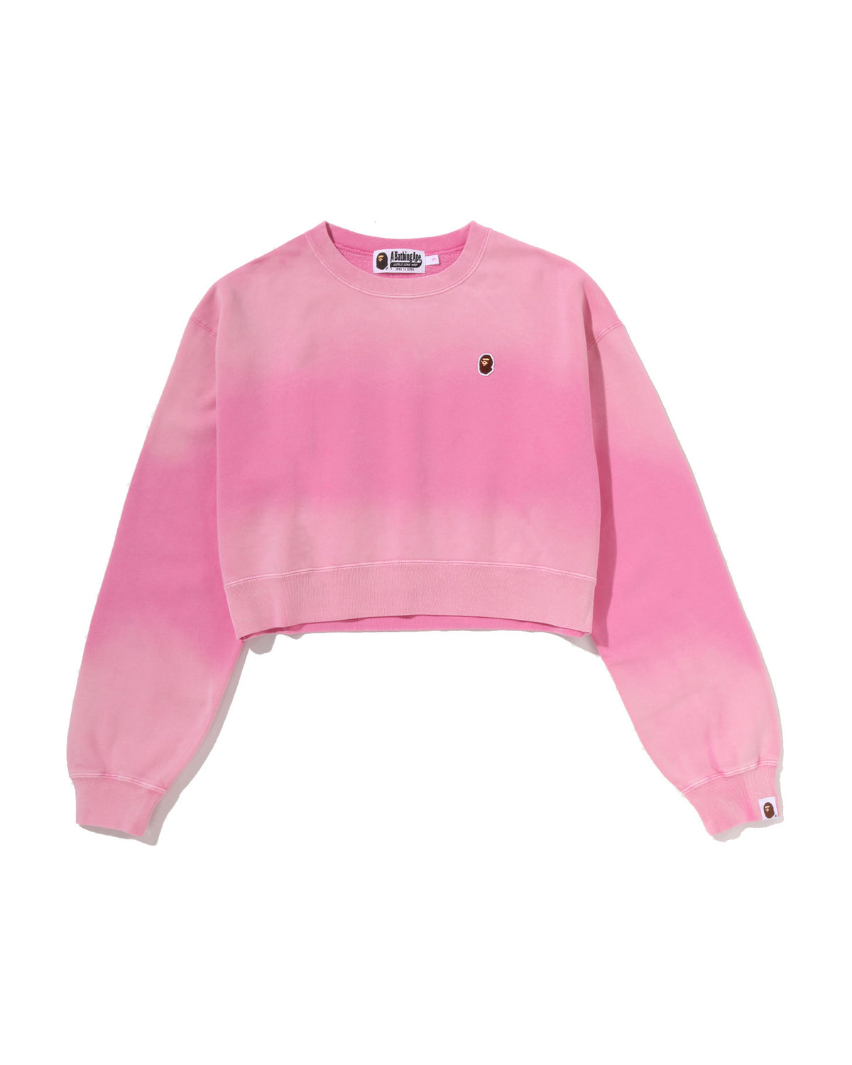 Garment Dye One Point Cropped Crewneck Sweatshirt