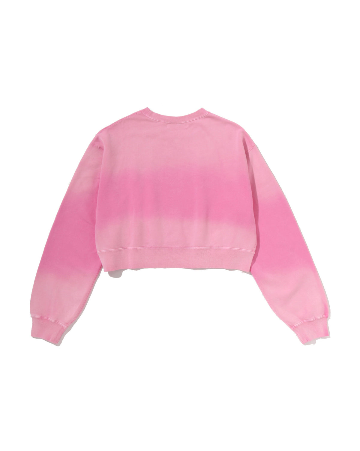 Garment Dye One Point Cropped Crewneck Sweatshirt