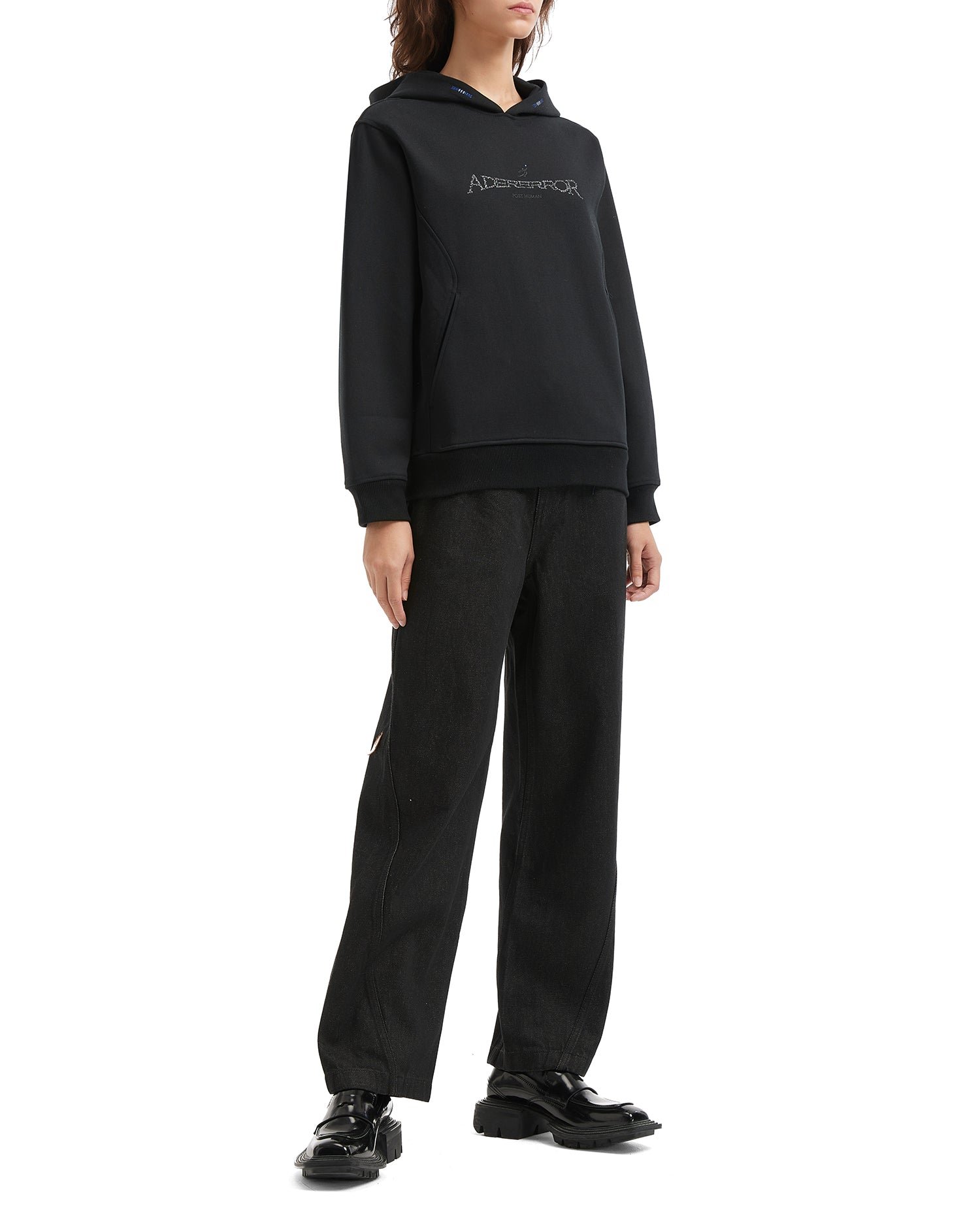 Titan Hoodie Product. 27