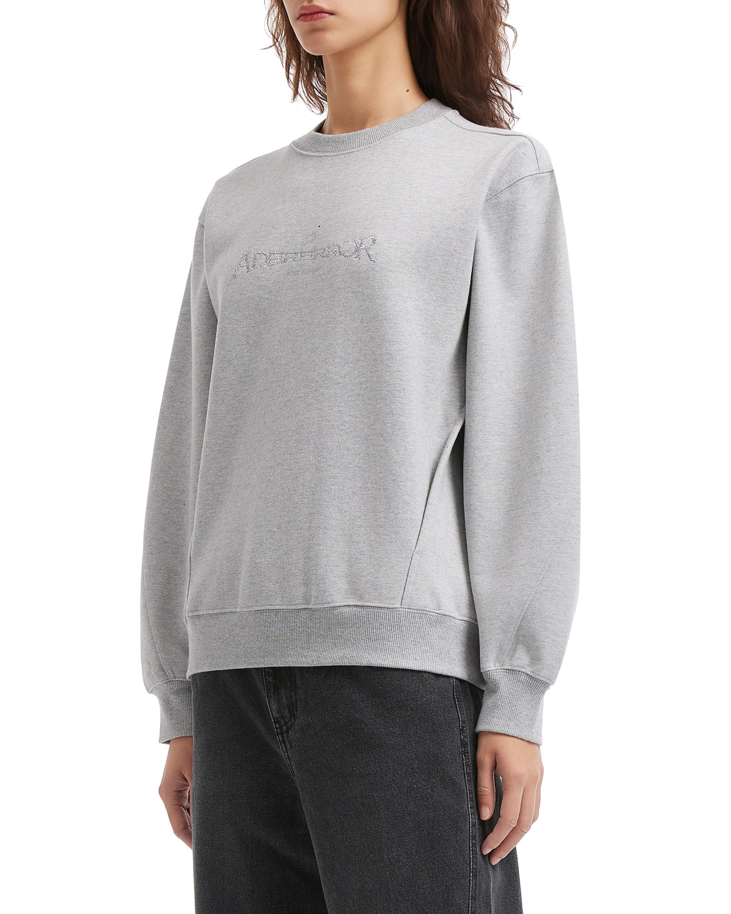 Titan Sweatshirt Product. 45