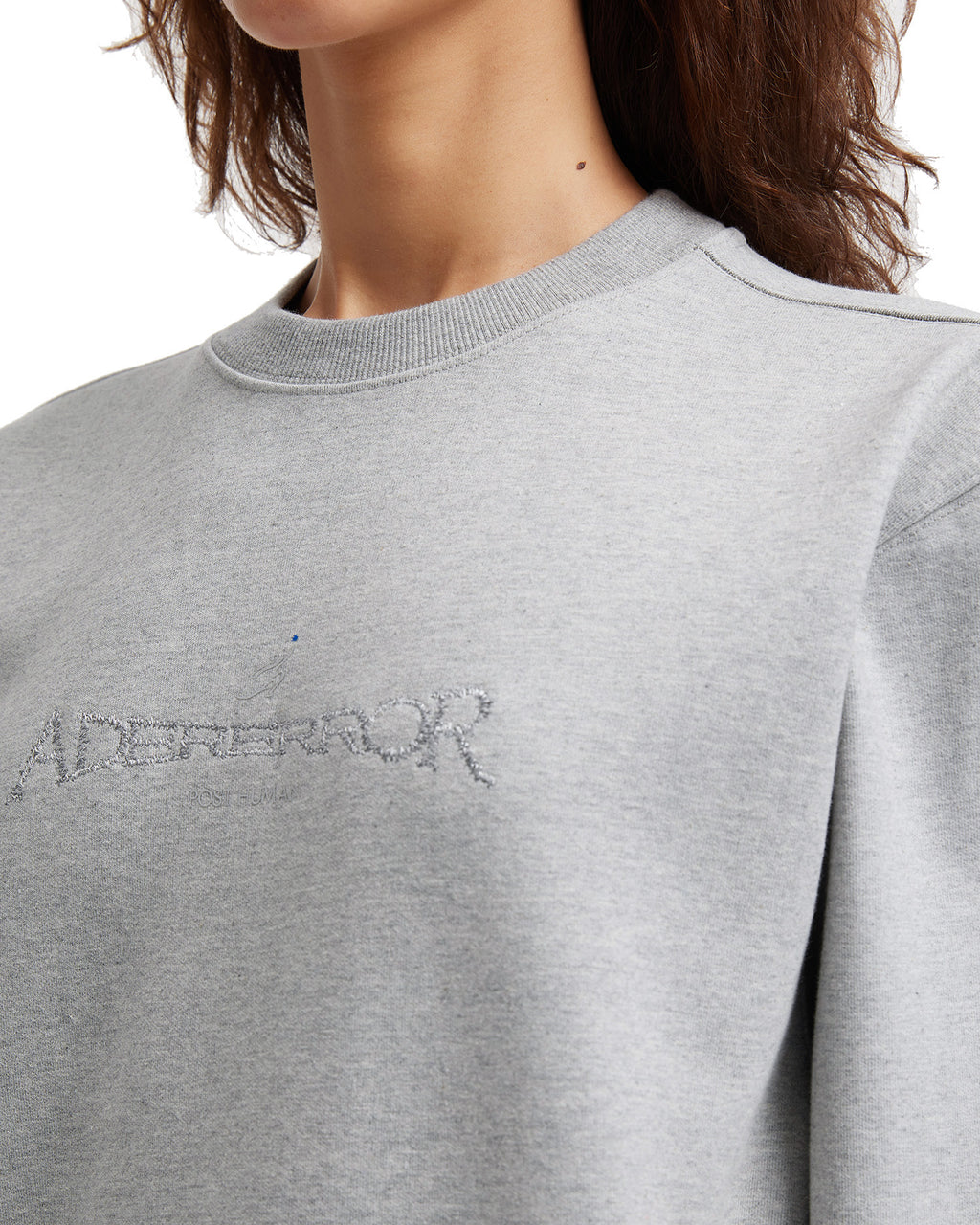 Titan Sweatshirt Product. 45