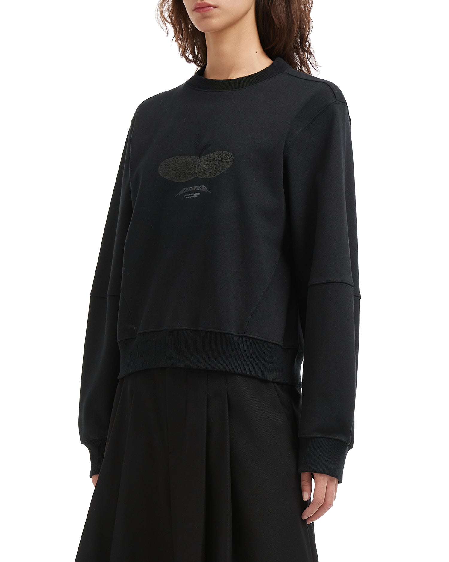 Press Apple Sweatshirt Product. 41