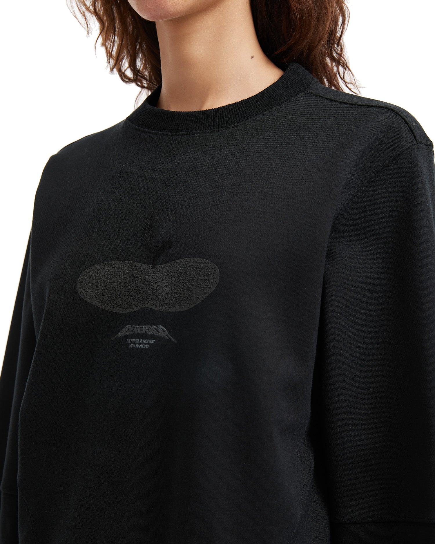 Press Apple Sweatshirt Product. 41