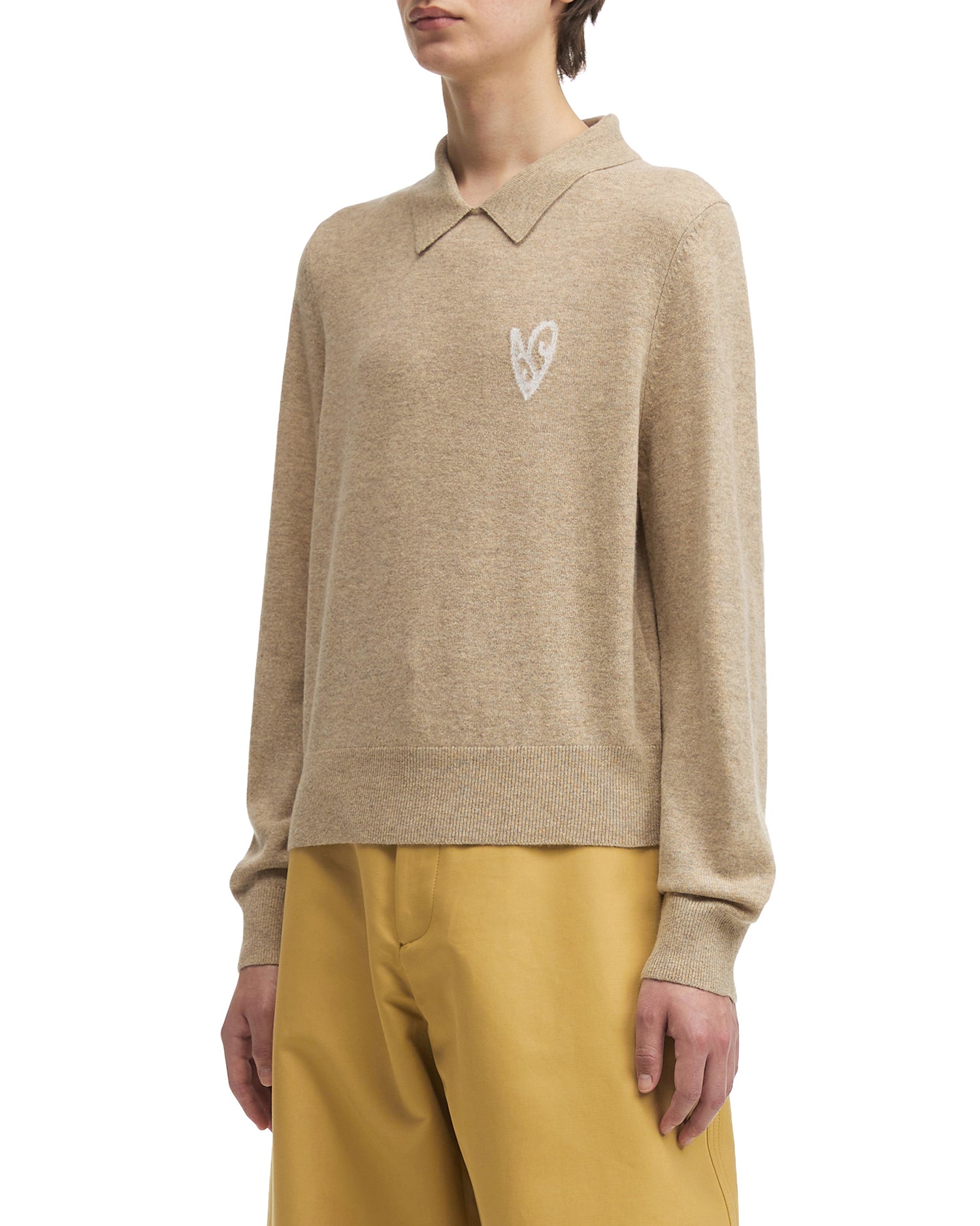 Polo sweater