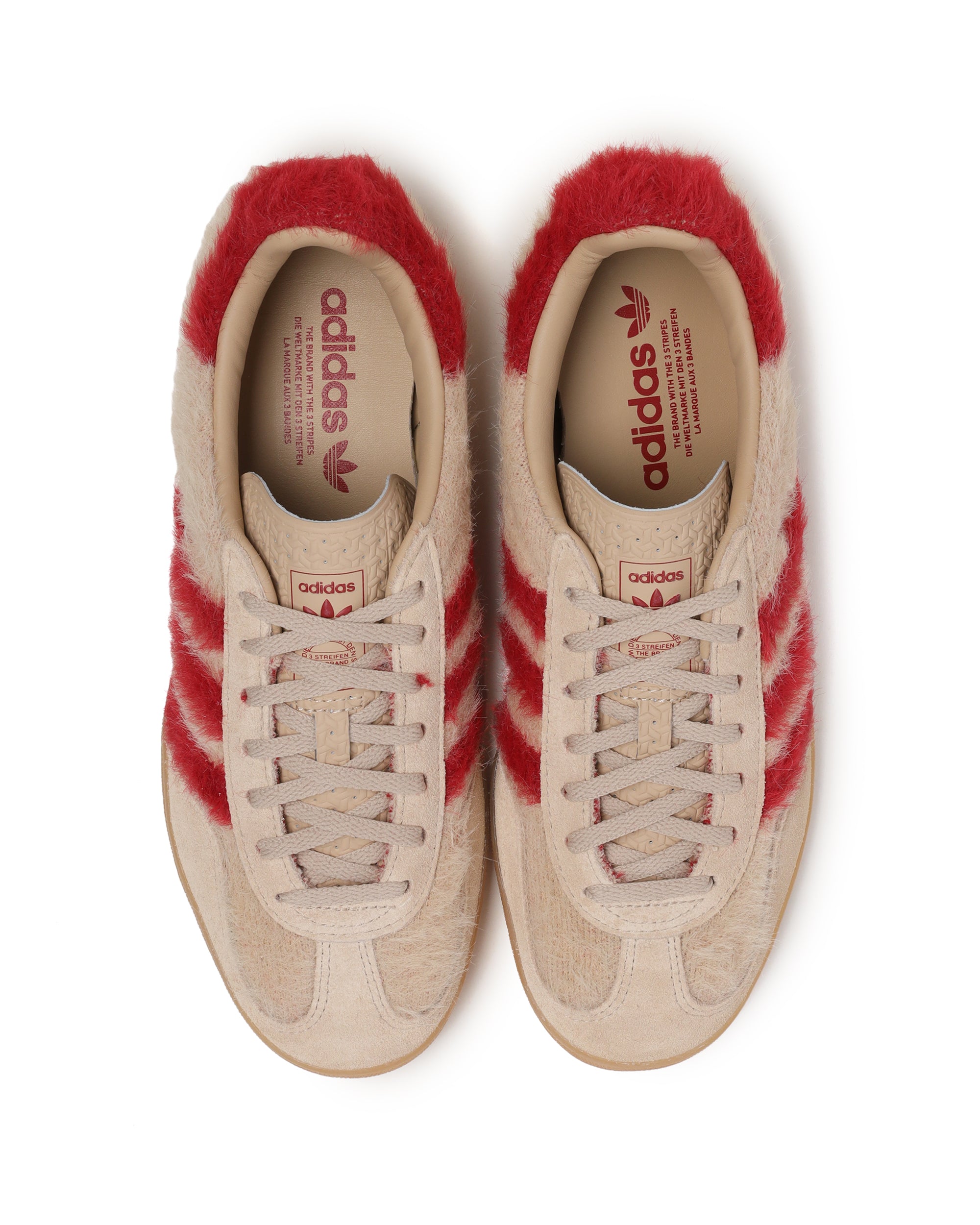 Gazelle indoor sneakers