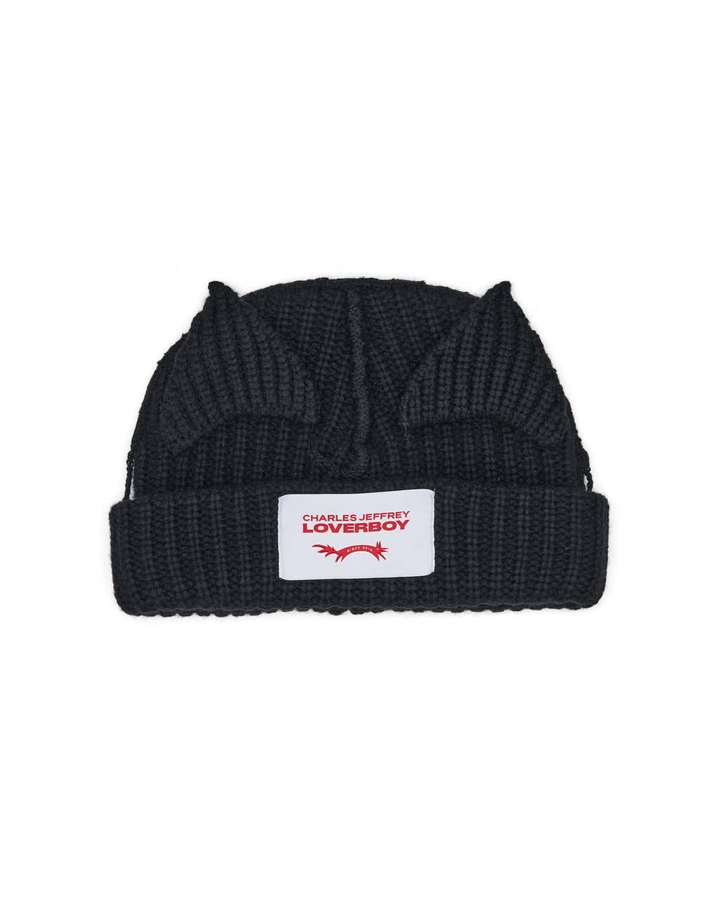 Chunky ears beanie