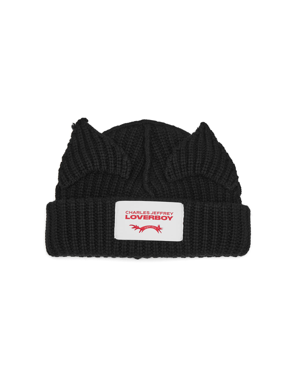 Chunky ears beanie