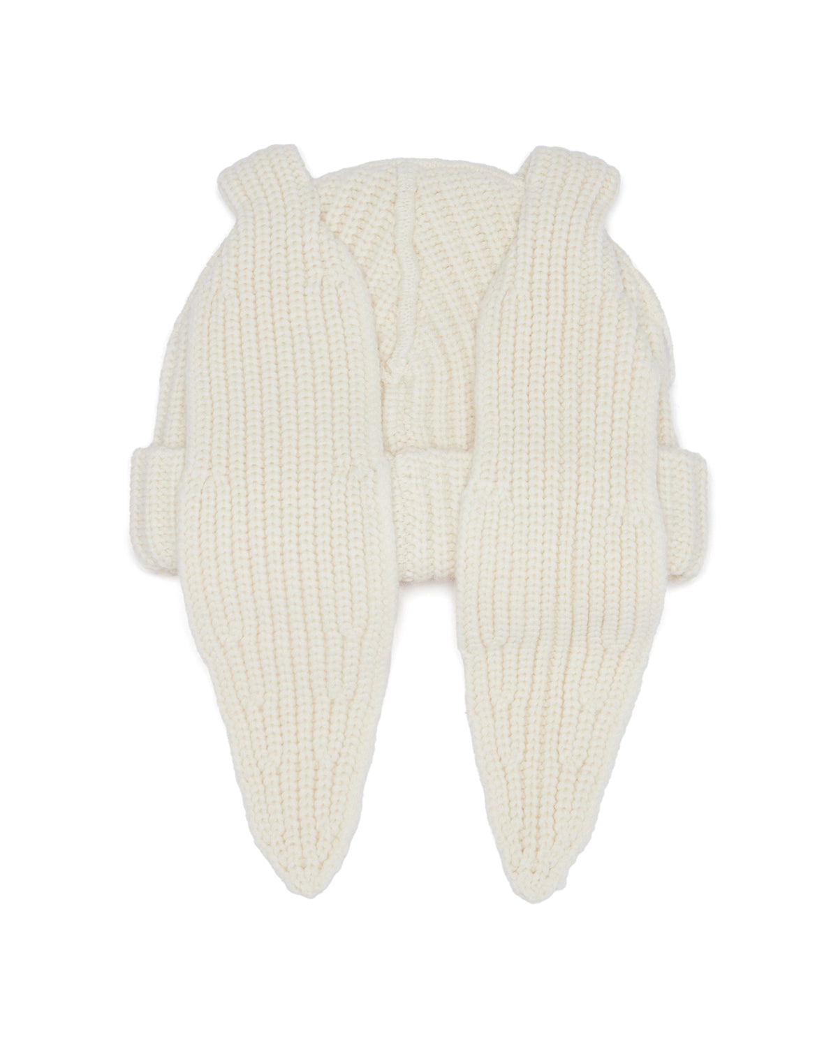 Baby ear flap beanie