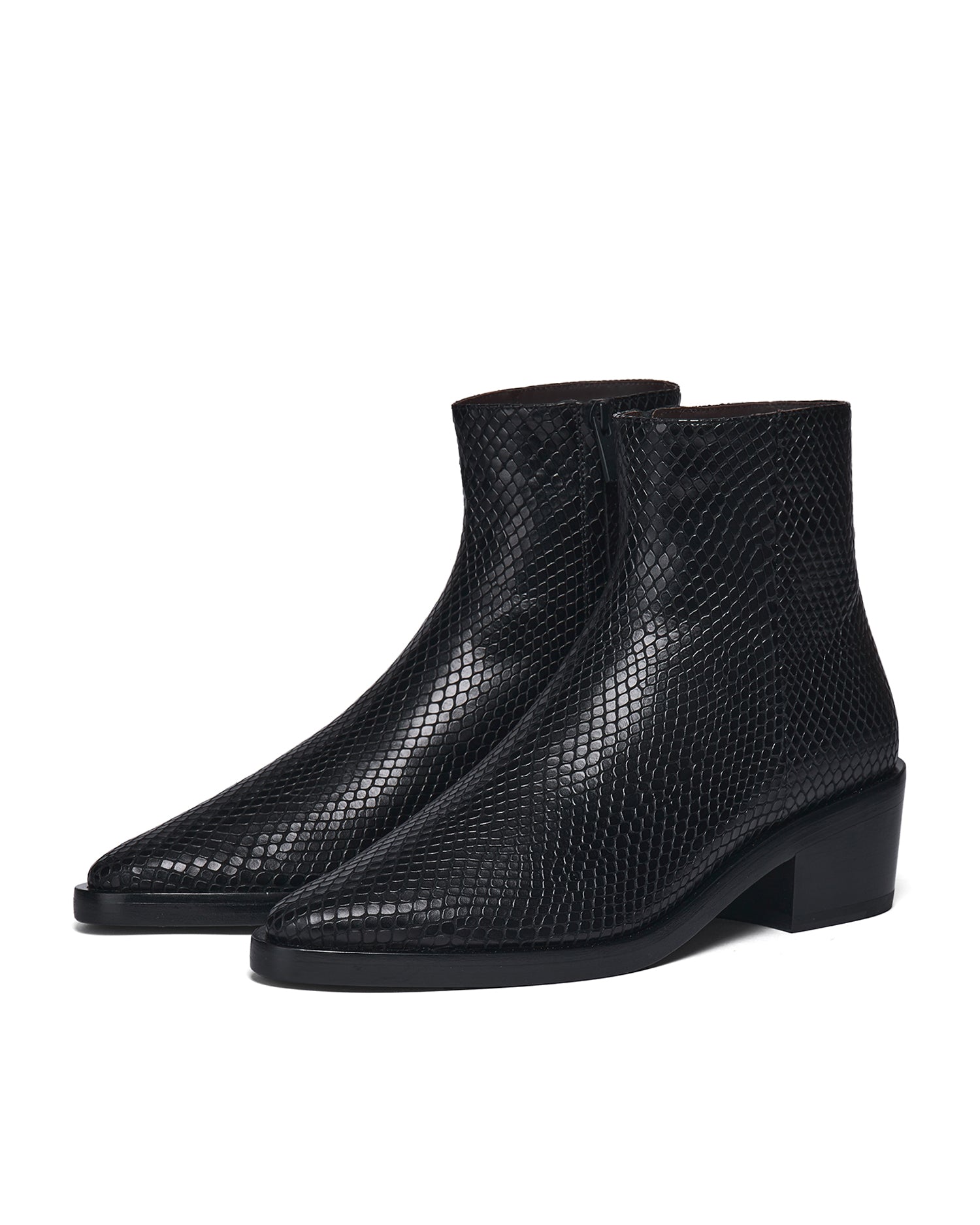Snakeskin Santa Fe boots