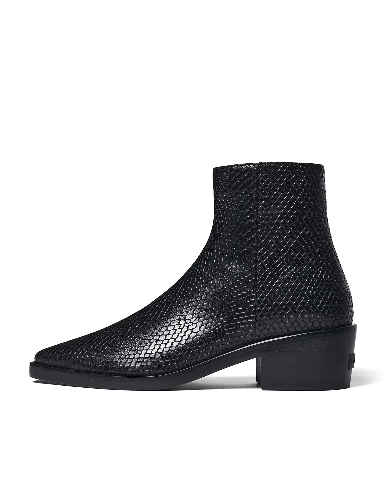 Snakeskin Santa Fe boots