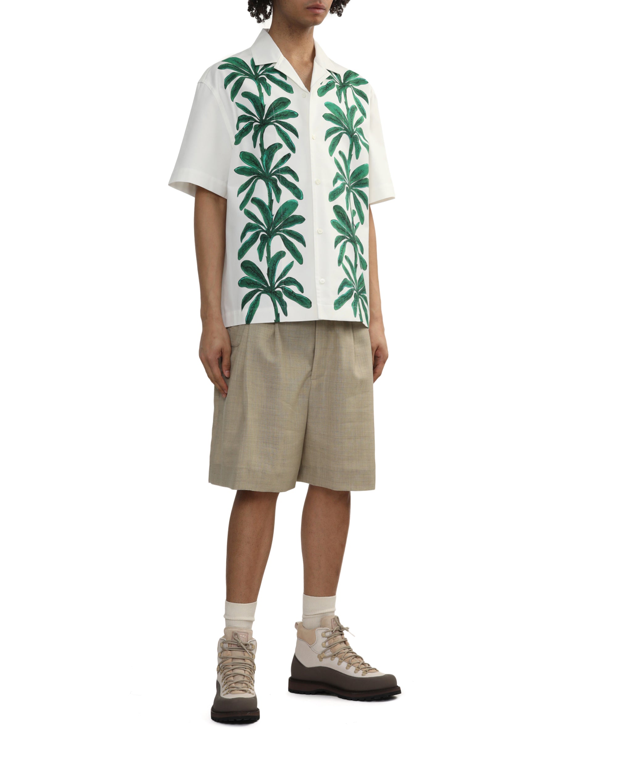 The Fernando shorts