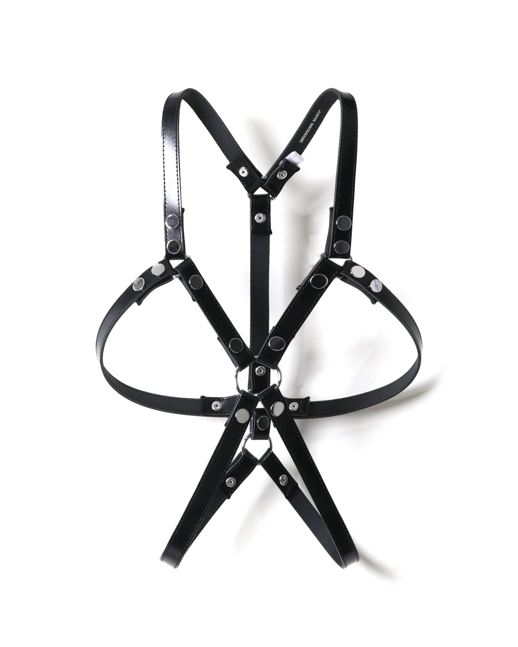 Body harness