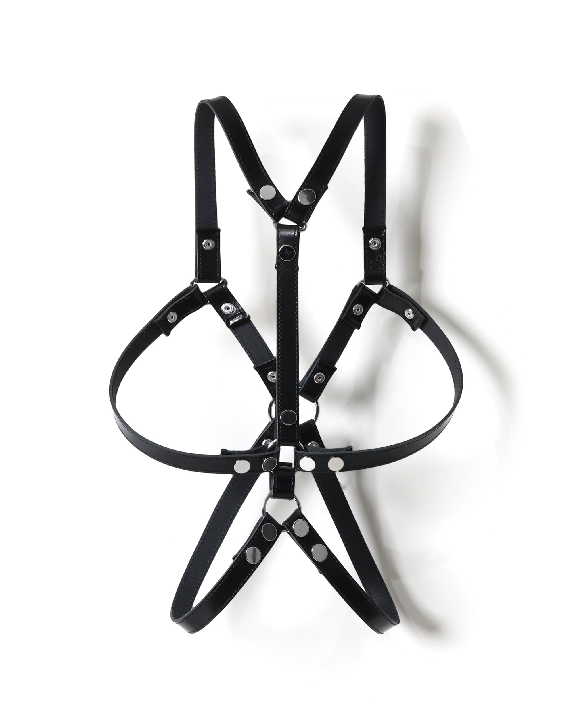 Body harness