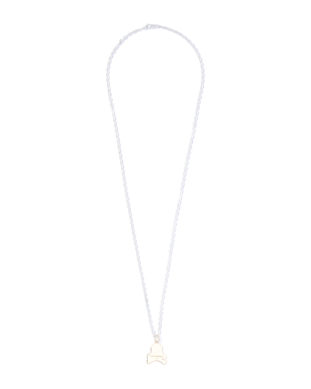 Skull coin necklace