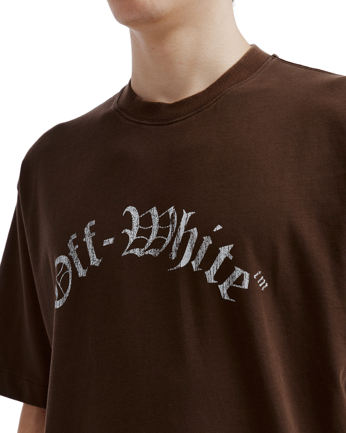 ZODIAC Series Leo graphic tee