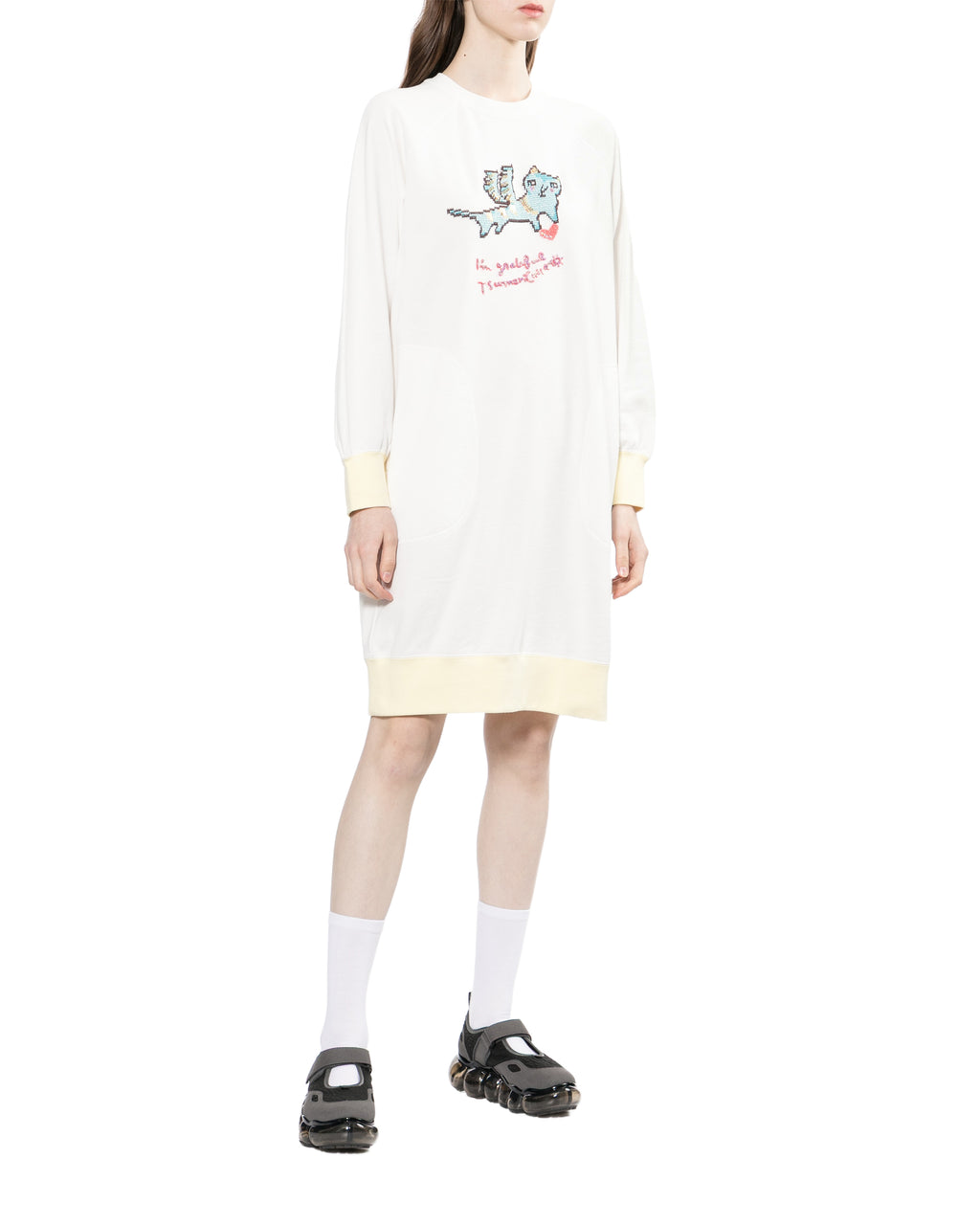 Embroidered graphic dress