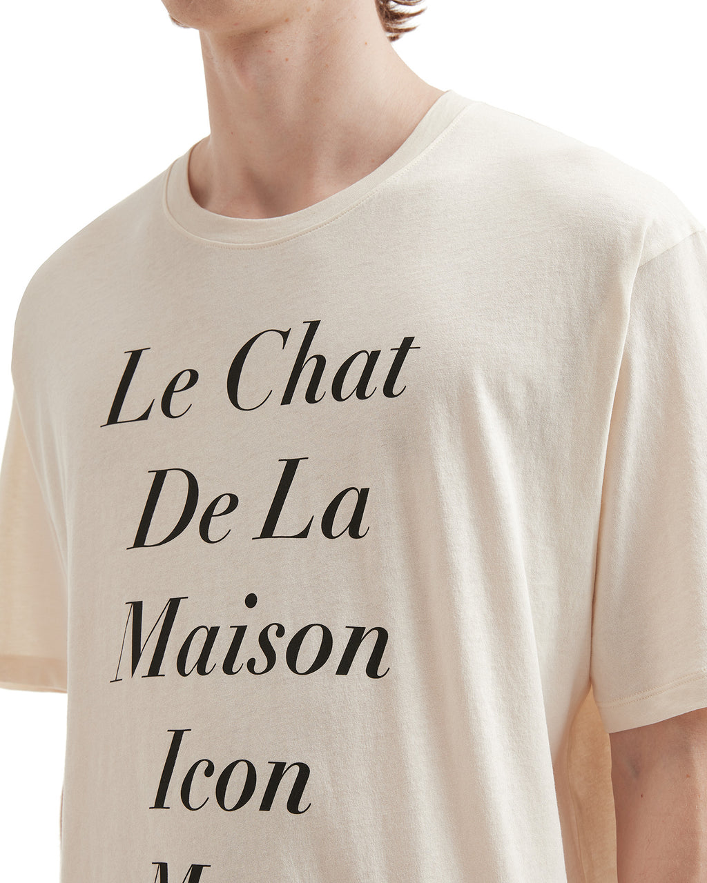 Le Chat De La Maison Icon Muse Anti Hero print tee