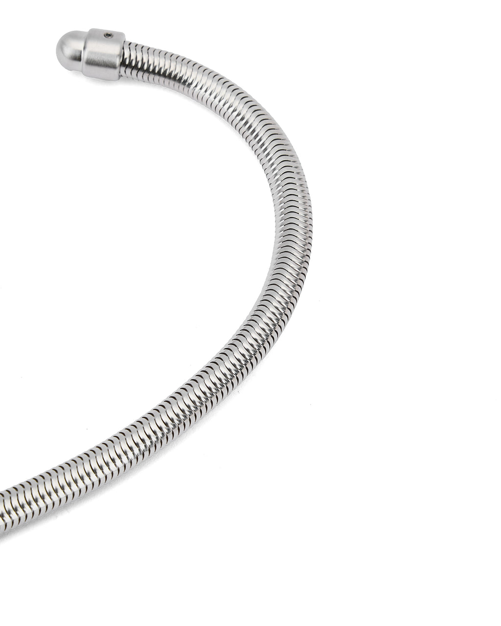 Snake keychain
