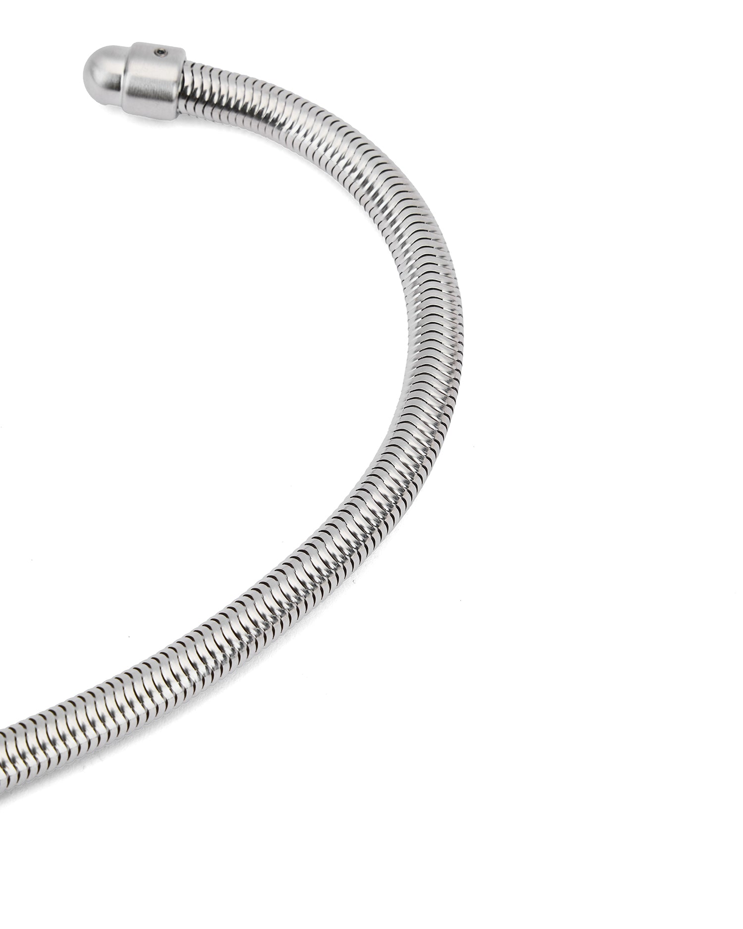 Snake keychain
