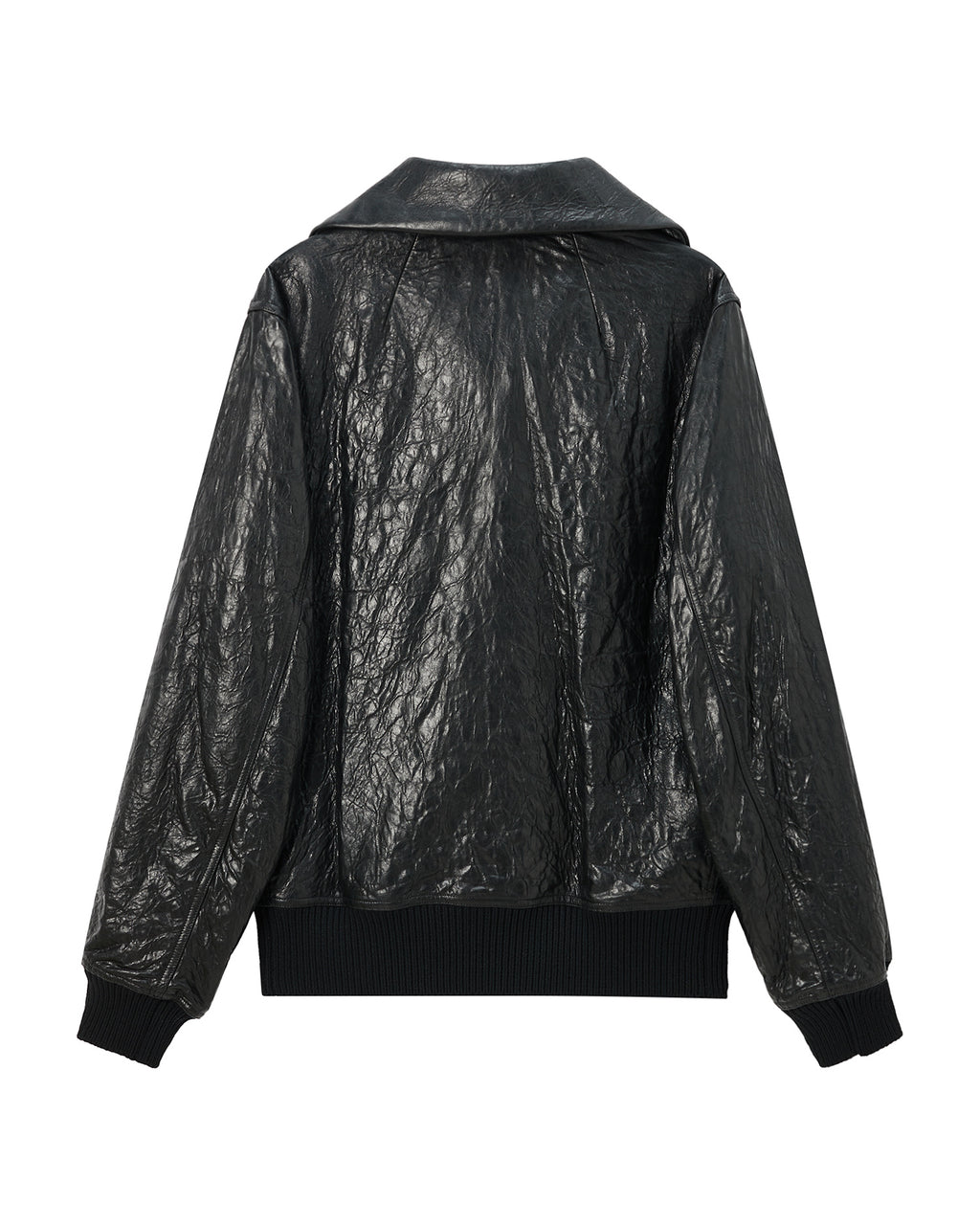 Dracuflight leather jacket